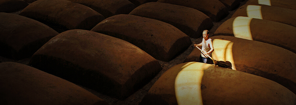 亚洲必赢国际·437ccm(中国区)官方网站