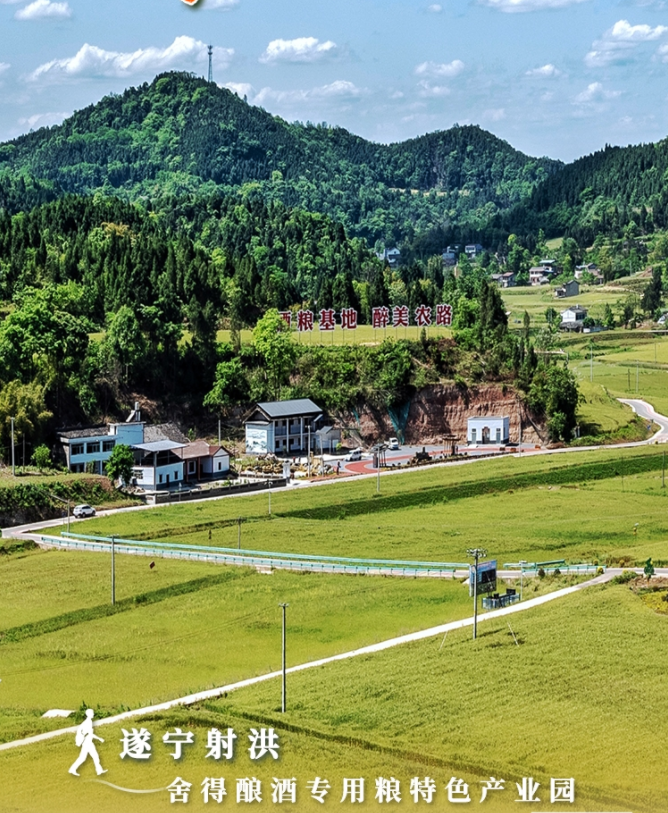 亚洲必赢国际·437ccm(中国区)官方网站