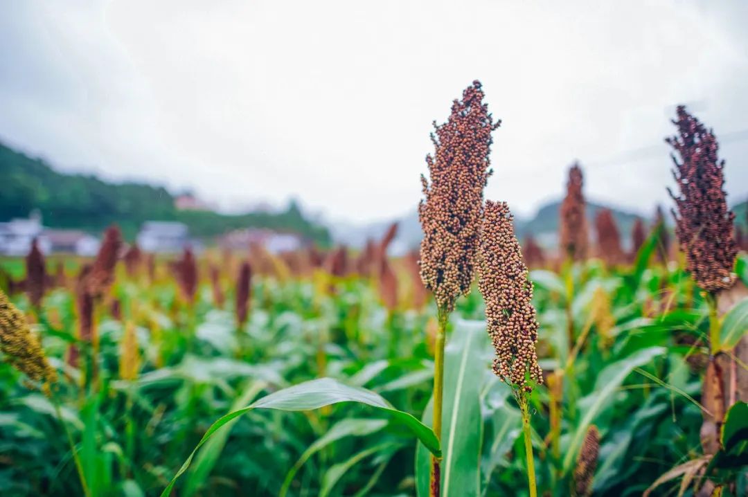 亚洲必赢国际·437ccm(中国区)官方网站