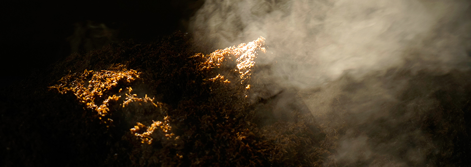 亚洲必赢国际·437ccm(中国区)官方网站