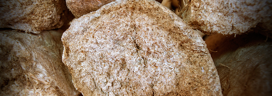 亚洲必赢国际·437ccm(中国区)官方网站